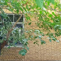 اجاره خانه ویلایی درشهرک فرهنگیان|اجارهٔ خانه و ویلا|همدان, |دیوار