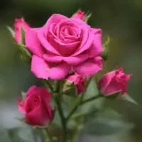 راهنمایی کامپوزیت