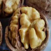 گردو کاغذی درجه 1|خوردنی و آشامیدنی|شاهین دژ, |دیوار