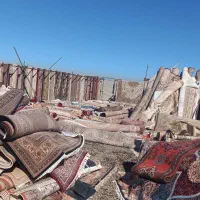 قالیشویی و مبل شویی ایران گستر