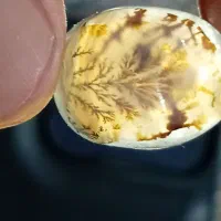 نگین شجرقائن|زیورآلات و اکسسوری|تربتحیدریه, طالقانی|دیوار