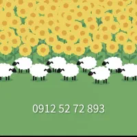 کد ۵ همراه اول ، رند پله ای از اول تک مالک
