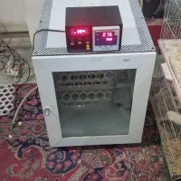 دستگاه جوجه کشی