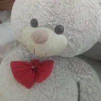 عروسک خرس زیبا|اسباب‌‌بازی|گرگان, |دیوار