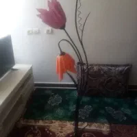 سلام سالم درحد نو