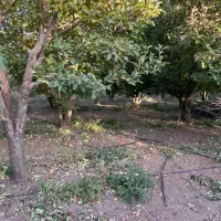 باغچه ۵۰۰ متری دماوند جابان سند تک برگ آب برق گاز|فروش زمین و ملک کلنگی|دماوند, دماوند|دیوار