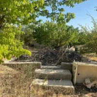 باغ شهر|فروش دفتر صنعتی، کشاورزی، تجاری|زنجان, |دیوار