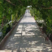اجاره-روزانه-سوئیت-باغ-ویلا