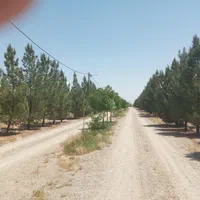 باغچه999متر،تکبرگ ،سهیلیه،زعفرانیه،کردان|فروش زمین و ملک کلنگی|کرج, فاز ۲ مهرشهر|دیوار