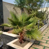 باغ واقع درایجدان ورامین|فروش خانه و ویلا|جوادآباد, |دیوار
