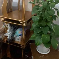 مبل ۸نفره دیپلمات|مبلمان خانگی و میز عسلی|اصفهان, ناصرخسرو|دیوار