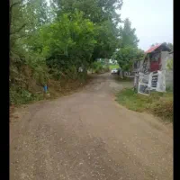 زمین هشتاد متری کوی حسینی کوچه چهل و چهار