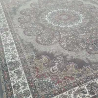 فروش یا تعویض  فرش ۷۰۰شانه نو