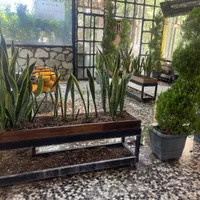 ظرف شور یا وسط کار