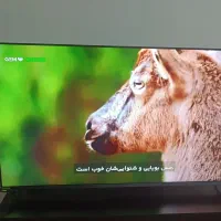 تلویزیون ۵۵ اسنوا