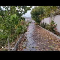 صدرازمین-مولانا203متردانش2