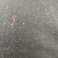 شخم زدن با تیلر،دازده اسب