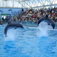 تخفیف قیمت بلیط قطارهواپیما