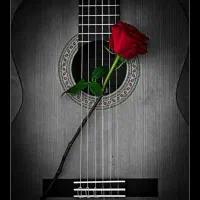 اموزش گیتار