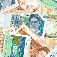 سرمایه درصدی میدم