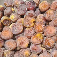 فروش خرما خیابان شهریار ۲ شیروان جام گوهری