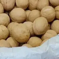 گردو درجه یک|خوردنی و آشامیدنی|کاشان, امیرکبیر|دیوار