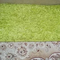پا دری