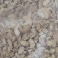 مغز گردو دندانه و بادام هندی ال پی|خوردنی و آشامیدنی|مشهد, ده دی|دیوار