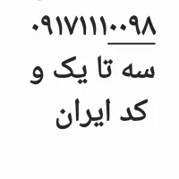 فروش خط ۰۹۱۷.۱۱۱.۰۰۹۸