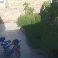 ویلایی ۲۲۰ متری دو معبر شمالی و جنوبی|فروش خانه و ویلا|تربت‌حیدریه, کوی شهید احمدزاده ملکی|دیوار