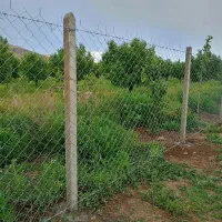 فنس کشی بتن ریزی سیم بگسل وخاردار نصب در و...|خدمات باغبانی و درختکاری|زنجان, |دیوار
