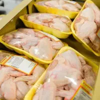 استخدام کارگر حرفه‌ای بسته‌بندی مرغ (کاله)|استخدام صنعتی، فنی، مهندسی|امامزاده عبدالله, |دیوار