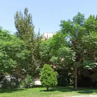 واحد۱۵۵م/جنوبی/۱۲متربرساختمان /۳خواب /کلید نخورده|فروش آپارتمان|قم, انسجام|دیوار
