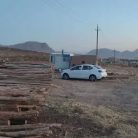 چوب فروشی و مرکز جمع آوری انواع چوب|عمده‌فروشی|سنقر, |دیوار