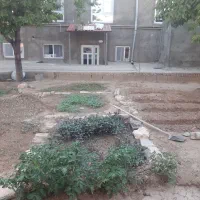 اموزش کودکان ابتدایی