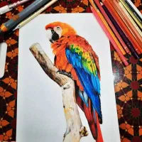 ثبت نام ترم پاییزه آموزشگاه نقاشی آسمان|خدمات آموزشی|یزد, |دیوار