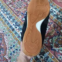 کفش سالن|کیف، کفش، کمربند|شاهین دژ, |دیوار