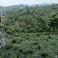 500متر زمین باغی و کلبه جنگلی|فروش زمین و ملک کلنگی|اطاقور, |دیوار