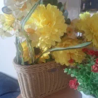 چنتا گل وگلدونه مناسب