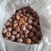 گردو ممتاز مغزسفیدآذربایجان