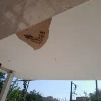 کمپارس