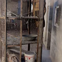 قفس پرنده محکم