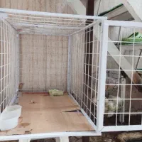 قفس سگ قفس گربه و هرپتی گنجه مرغ و خروس|لوازم جانبی حیوانات|تهران, تهرانپارس شرقی|دیوار