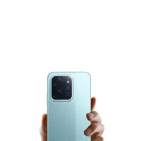 بدون سفته ، فقط چند برگ چک صیادی