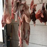 گوشت بره