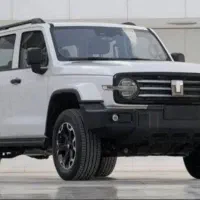 گریت وال تانک 300