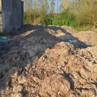 کود چرب کمپوست|خدمات باغبانی و درختکاری|بندر انزلی, چهارفریضه|دیوار