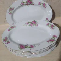 دیس کباب یا مرغ خوری گل قرمزی قدیمی|ظروف سرو و پذیرایی|اصفهان, شهشهان|دیوار