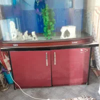 اکوریوم خیلی زیبا خاص
