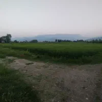 زمین مسکونی ۳۵۰۰ متر